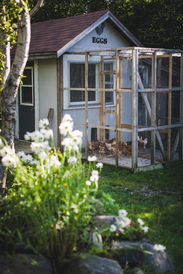 Abbie'S Garden Bed & Breakfast Grand Bank ภายนอก รูปภาพ